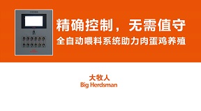 精確控制，無需值守—全自動喂料系統(tǒng)助力肉蛋雞養(yǎng)殖