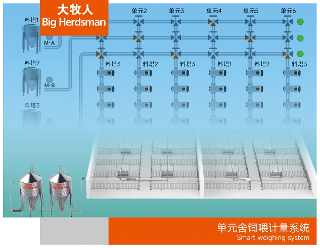 單元舍飼喂計(jì)量系統(tǒng)